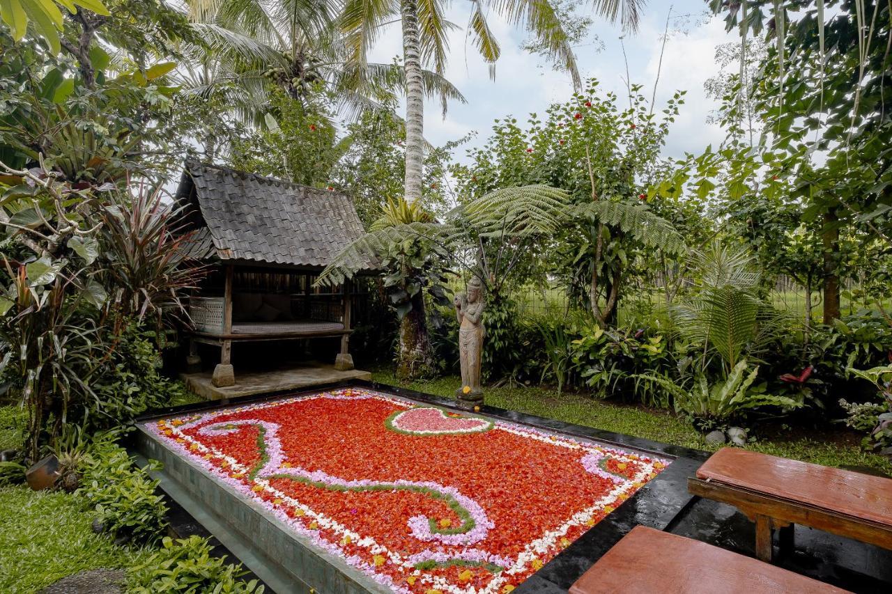 Moringa * Ubud