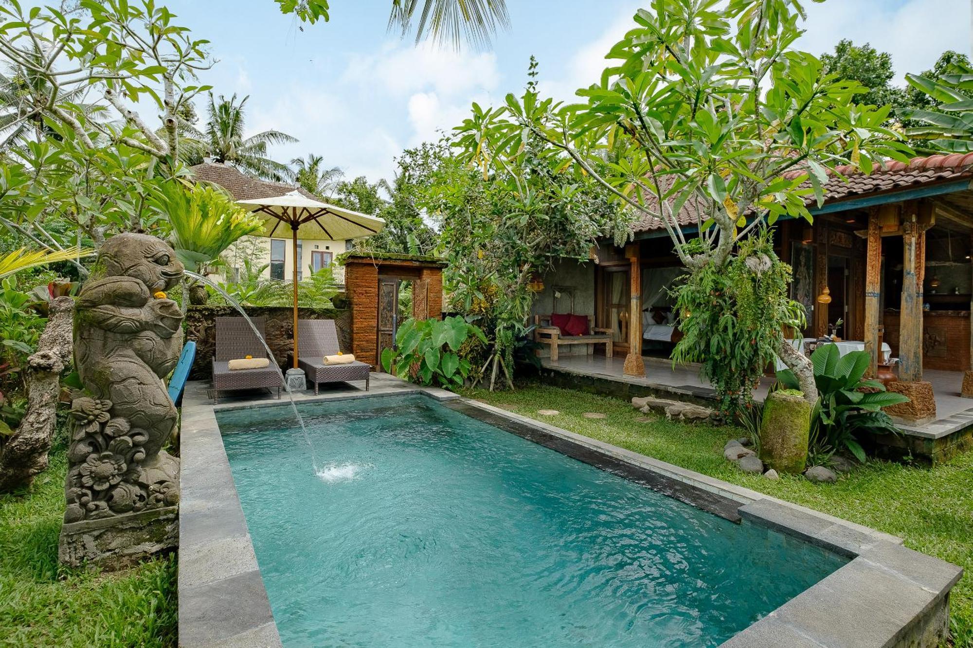 Moringa Ubud